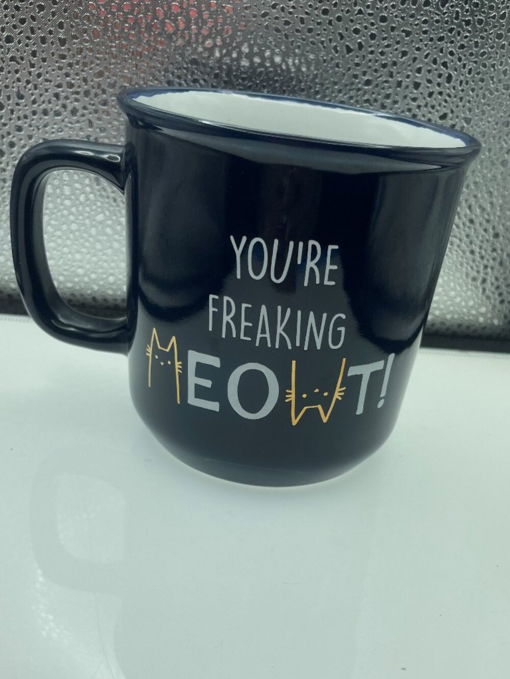 YOU'RE FREAKING MEOWT! Mug